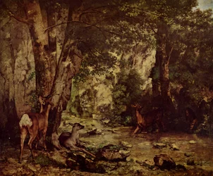 Roe Deer in the Forest